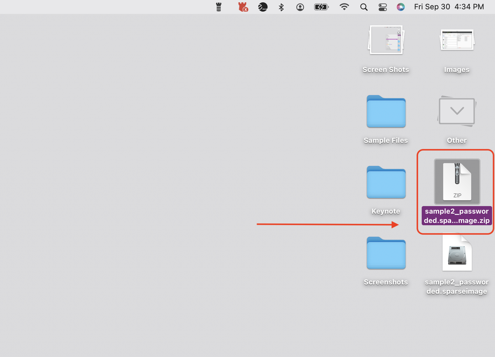 Step_9_send_file_back_to_support.png