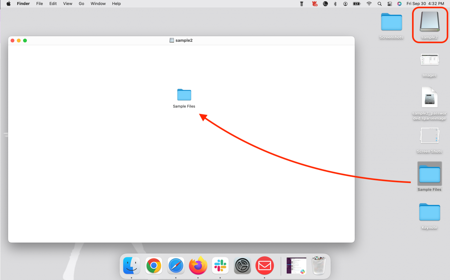 Step_6_drop_sample_into_disk.png