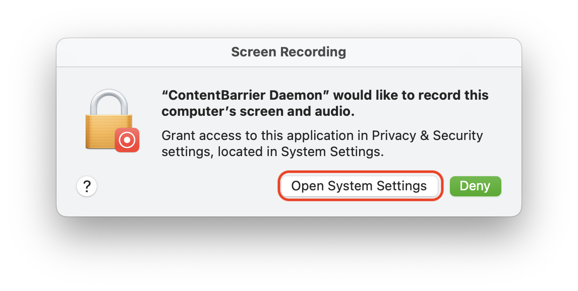 Grant Access - Screen Recording.png