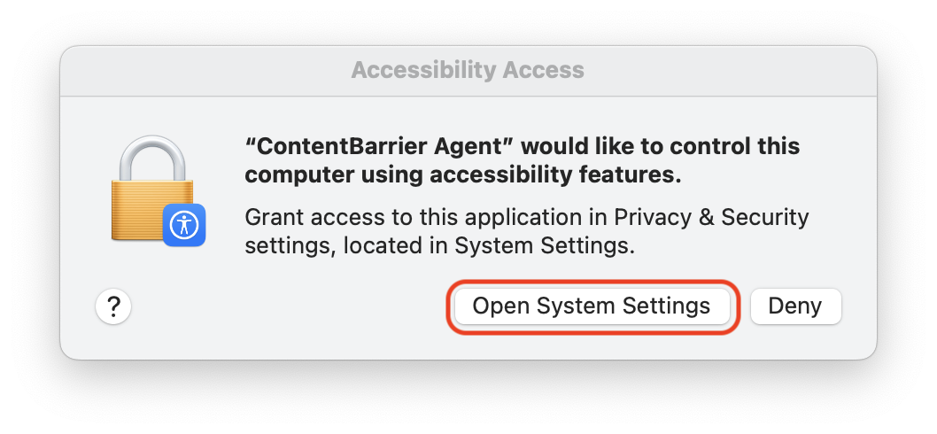 Grant Access - Accessibility.png