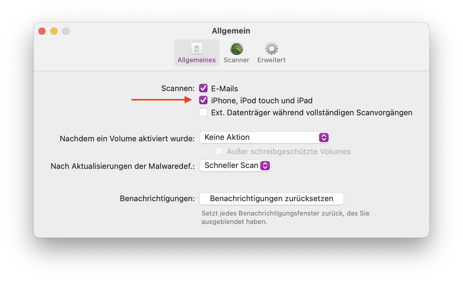 German - Preferences window.png