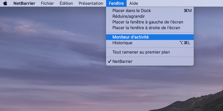 NetBarrier > menu Fenêtre > commande Moniteur d'activité