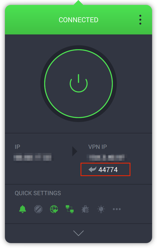 IPP-Port.png