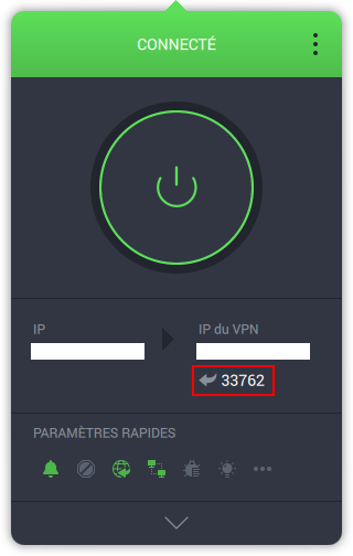 Affichage par défaut > Serveurs VPN > Transfert de port activé - Connecté